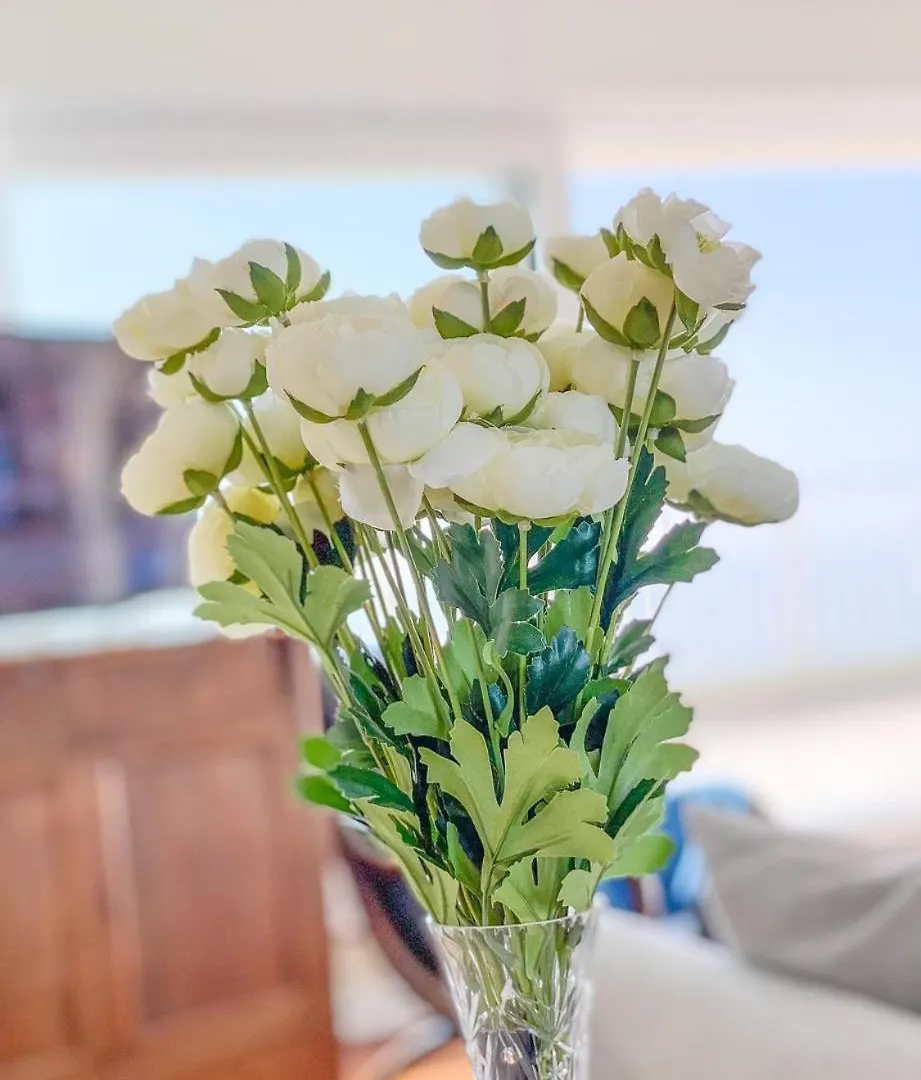 Studio With A Unique Terrace And Amazing Panoramic View Of The Sea T45 Ostende 0*,  Belgique